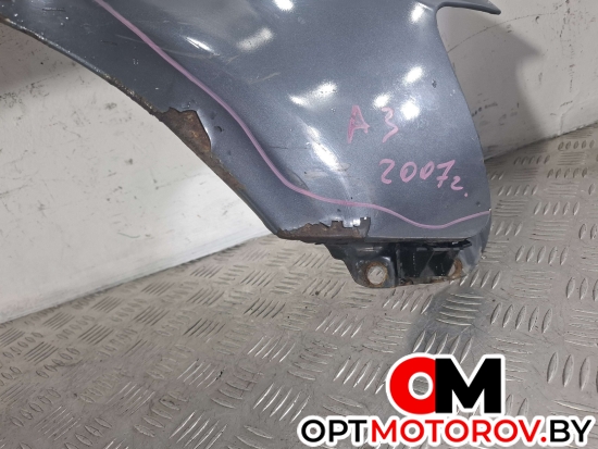 Крыло переднее правое  Audi A3 8P/8PA [рестайлинг] 2007  #5