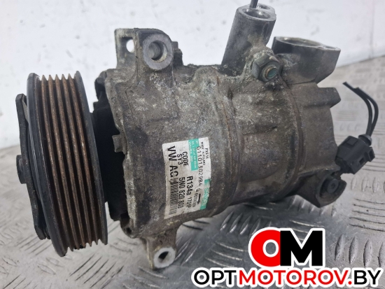 Компрессор кондиционера  Volkswagen Passat B6 2009 5N0820803 #1