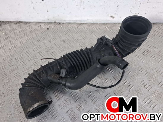 Патрубок воздушного фильтра  Mercedes-Benz Vito W639 2006 A6395281182, A6110100082, A0061539728, 0261230190 #1