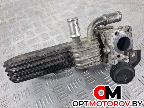 Радиатор EGR  Volkswagen Golf 5 поколение 2006 03G131063E, 038131513AD #5