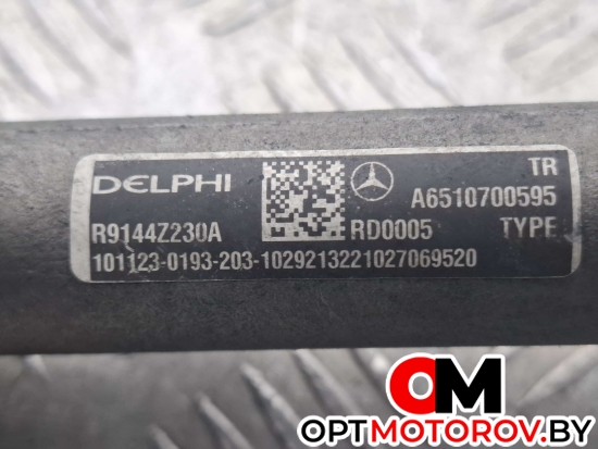 Топливная рампа  Mercedes-Benz E-Класс W212/S212/C207/A207 2011 A6510700595, 9307Z522A, 55PP2201, 1027069520, 9307Z521A #3
