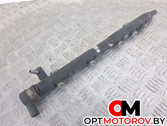 Топливная рампа  Mercedes-Benz Sprinter 2 поколение (W906) 2006 A6460701895, 6460701895, A6420780149, 0281002794 #1