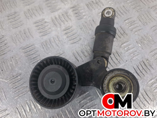 Натяжитель ремня генератора  BMW X5 E53 2001 M62B44 #1