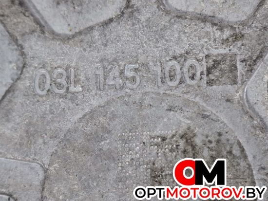 Вакуумный насос  Volkswagen Passat B6 2009 03L145100 #3