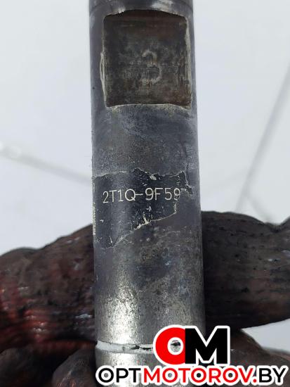 Форсунка топливная  Ford Transit Connect 1 поколение 2003 EJBR02201Z, 2T1Q9F593AA #3