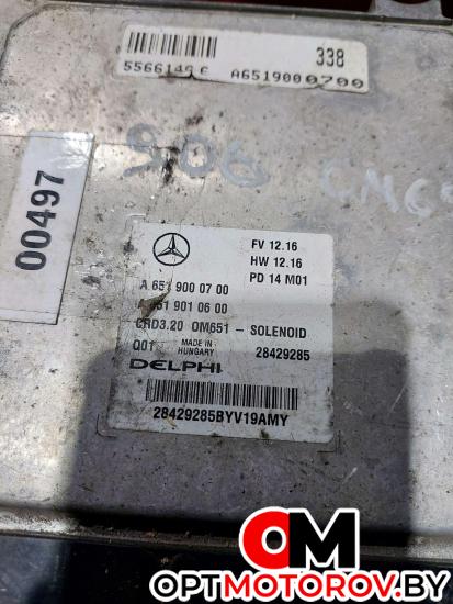 Блок управления двигателем  Mercedes-Benz Sprinter 2 поколение (W906) 2011 6519000700,28429285 #2