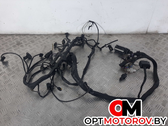 Проводка двигателя  Mercedes-Benz Vito W639 2008 A6461500208, #1