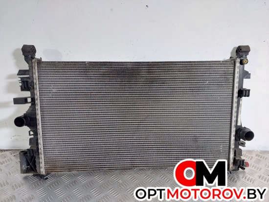Радиатор основной  Opel Insignia 1 поколение (A) 2009 13241725 #1