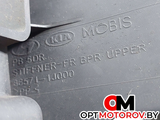 Дефлектор радиатора  Hyundai i20 PB 2009 865711J000 #4