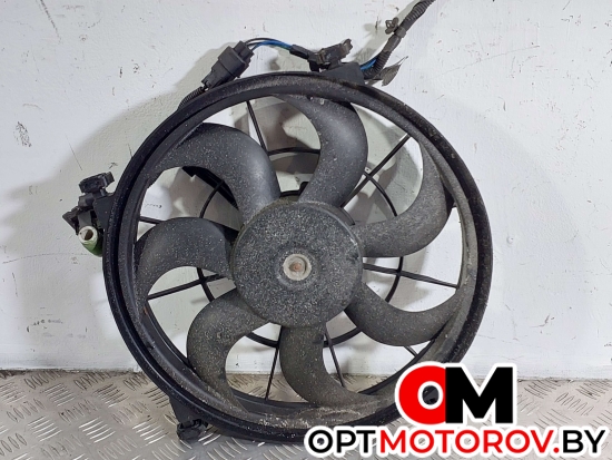 Вентилятор радиатора  Hyundai i20 PB 2009 A005341 #1