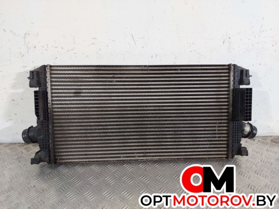Радиатор основной  Opel Astra J 2011 13267647 #1