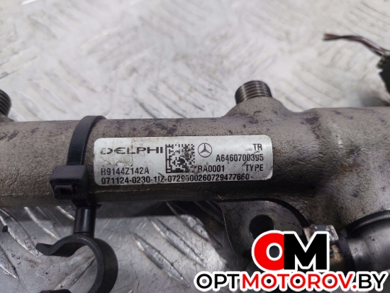 Топливная рампа  Mercedes-Benz E-Класс W211/S211 [рестайлинг] 2008 A6460700395, 9144Z142A, 9307Z515A, 9307Z512A #2