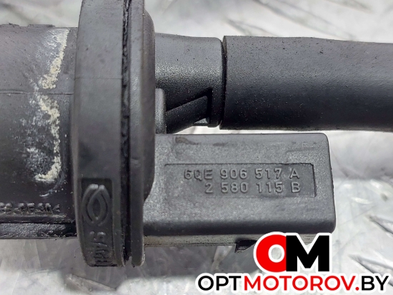 Натяжитель ремня генератора  Volkswagen Golf 5 поколение 2006 6QE906517A, 03C201542 #2