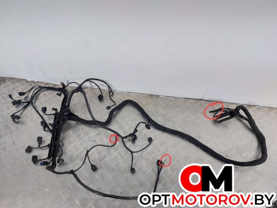 Проводка двигателя  Mercedes-Benz Sprinter 2 поколение (W906) 2010 A6461504233 #1