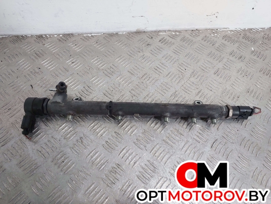 Топливная рампа  Mercedes-Benz C-Класс W203/S203/CL203 [рестайлинг] 2006 A6460700295, 0445214073, A6110780449, 0281002494, A0041536728, 0281002504 #1