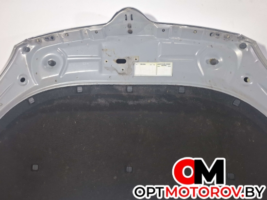 Капот  Skoda Roomster 1 поколение [рестайлинг] 2012  #11