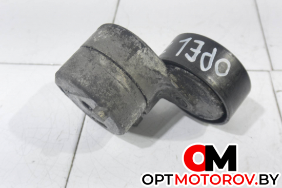 Натяжитель ремня генератора  Opel Corsa D 2008 950502 #2