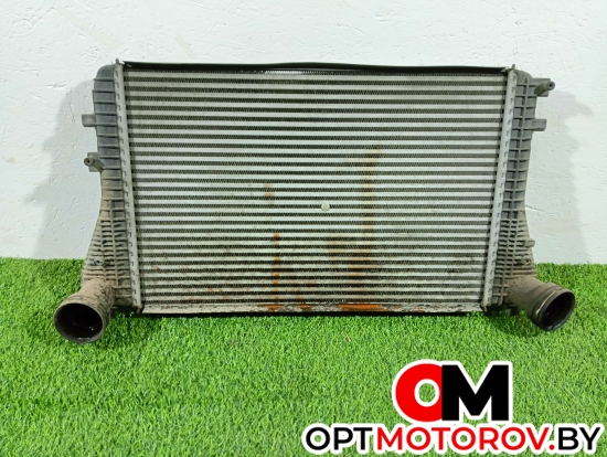 Радиатор основной  Volkswagen Passat B6 2009 3c0145805p #1