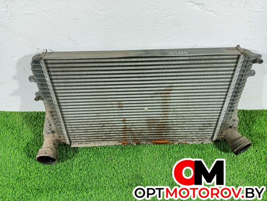 Радиатор основной  Volkswagen Passat B6 2009 3c0145805p #2