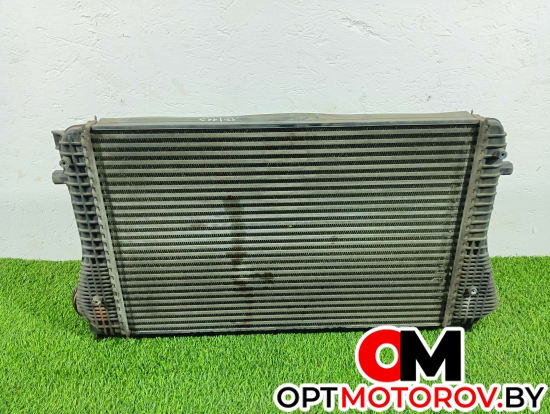 Радиатор основной  Volkswagen Passat B6 2009 3c0145805p #3