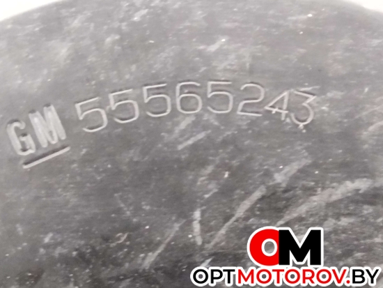 Шкив помпы  Opel Astra H/Family [рестайлинг] 2010 55565243 #2