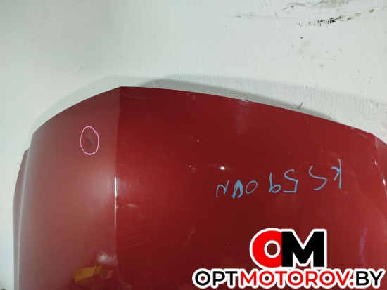 Капот  Opel Insignia 1 поколение (A) 2010  #4