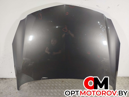 Капот  Opel Insignia 1 поколение (A) 2010  #1