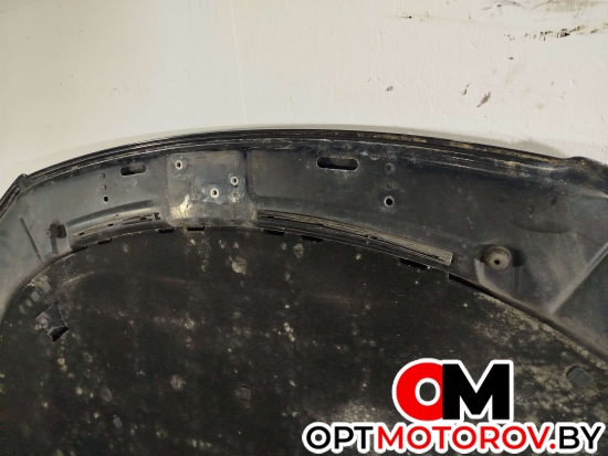 Капот  Volkswagen Passat B6 2009  #8
