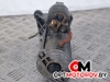 Стартер  Suzuki Grand Vitara 2 поколение 2008 8200628426, D7R49 #4