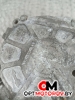 Подушка крепления двигателя правая  Audi A4 B8/8K 2010 03l145100f #3