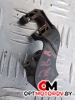 Крепление фары правой  Audi A4 B7 2008 1301398908 #1
