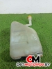 Вентилятор радиатора  Renault Megane 3 поколение 2010 289100014r #1