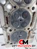 Головка блока цилиндров  Mercedes-Benz Sprinter 2 поколение (W906) 2006 A6460101020 #3