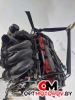 Двигатель  Ford C-Max 1 поколение 2007 HWDA #4