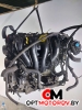 Двигатель  Ford Focus 2 поколение [рестайлинг] 2008 QQDB #2