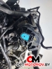 Двигатель  Ford Focus 2 поколение [рестайлинг] 2008 QQDB #7