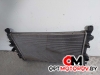 Радиатор основной  Opel Insignia 1 поколение (A) 2012 13241725 #2
