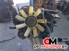 Двигатель  Mercedes-Benz Vito W639 2006 646983 #1