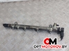 Топливная рампа  Mercedes-Benz C-Класс W203/S203/CL203 [рестайлинг] 2004 A6110780449, 0281002494, 0445214038, A6110700395 #1