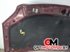 Капот  Toyota Avensis 2 поколение (T250) 2004  #9