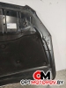 Капот  Toyota RAV4 3 поколение (XA30) 2007  #6