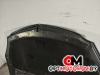 Капот  Opel Insignia 1 поколение (A) 2010  #8