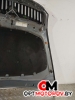 Капот  Skoda Octavia 2 поколение (A5) [рестайлинг] 2012  #6