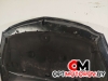 Капот  Opel Insignia 1 поколение (A) 2011  #8