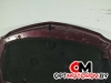 Капот  Opel Insignia 1 поколение (A) 2011  #8
